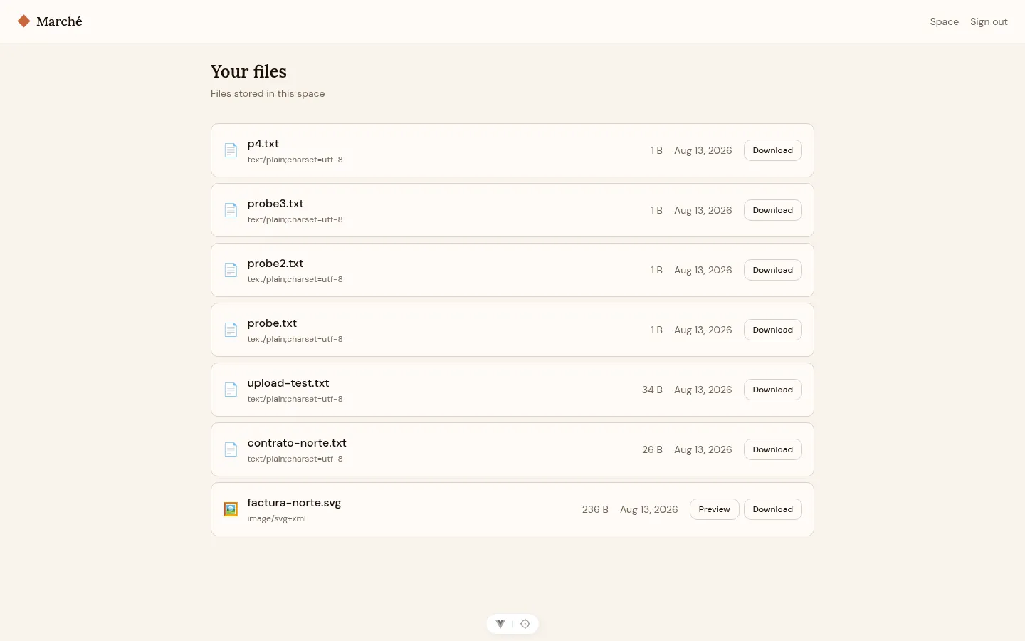 The demo space “Your files” view after a Ruta login — only the space’s own files are listed.